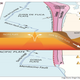 Illustration for article titled Not Scared About the Pacific Northwests Impending Quake? You Should Be.